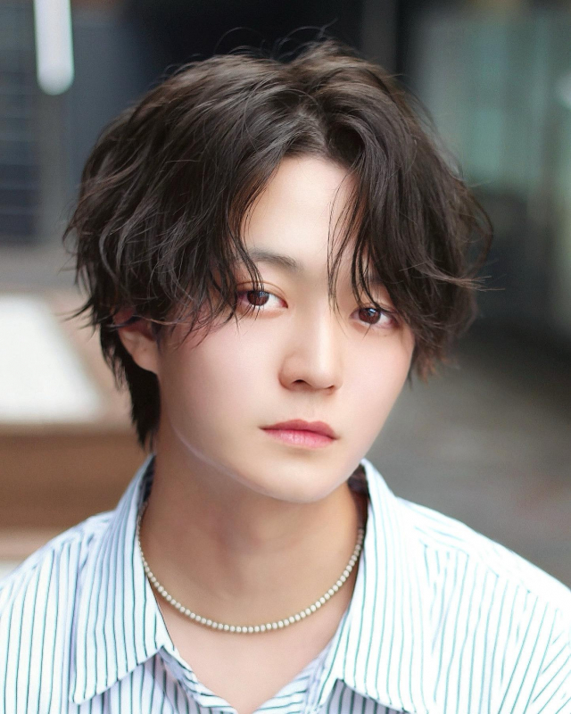 シースルーマッシュ